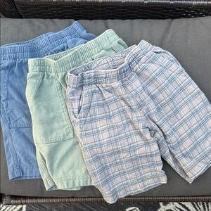 Tea Collection Shorts Bundle